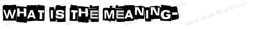 What is the meaning字体转换